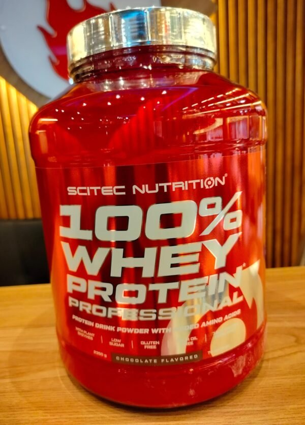 SCITEC NUTRITION PROTEINA CONCENTRADA